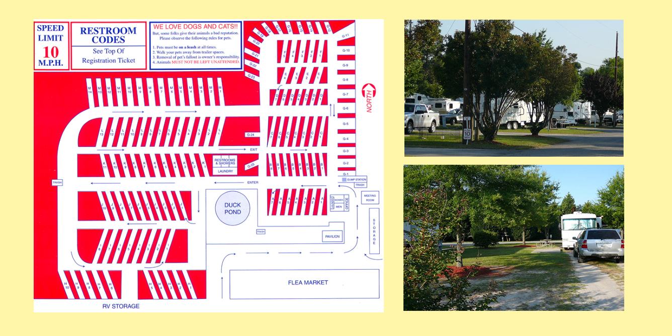 Responsive image